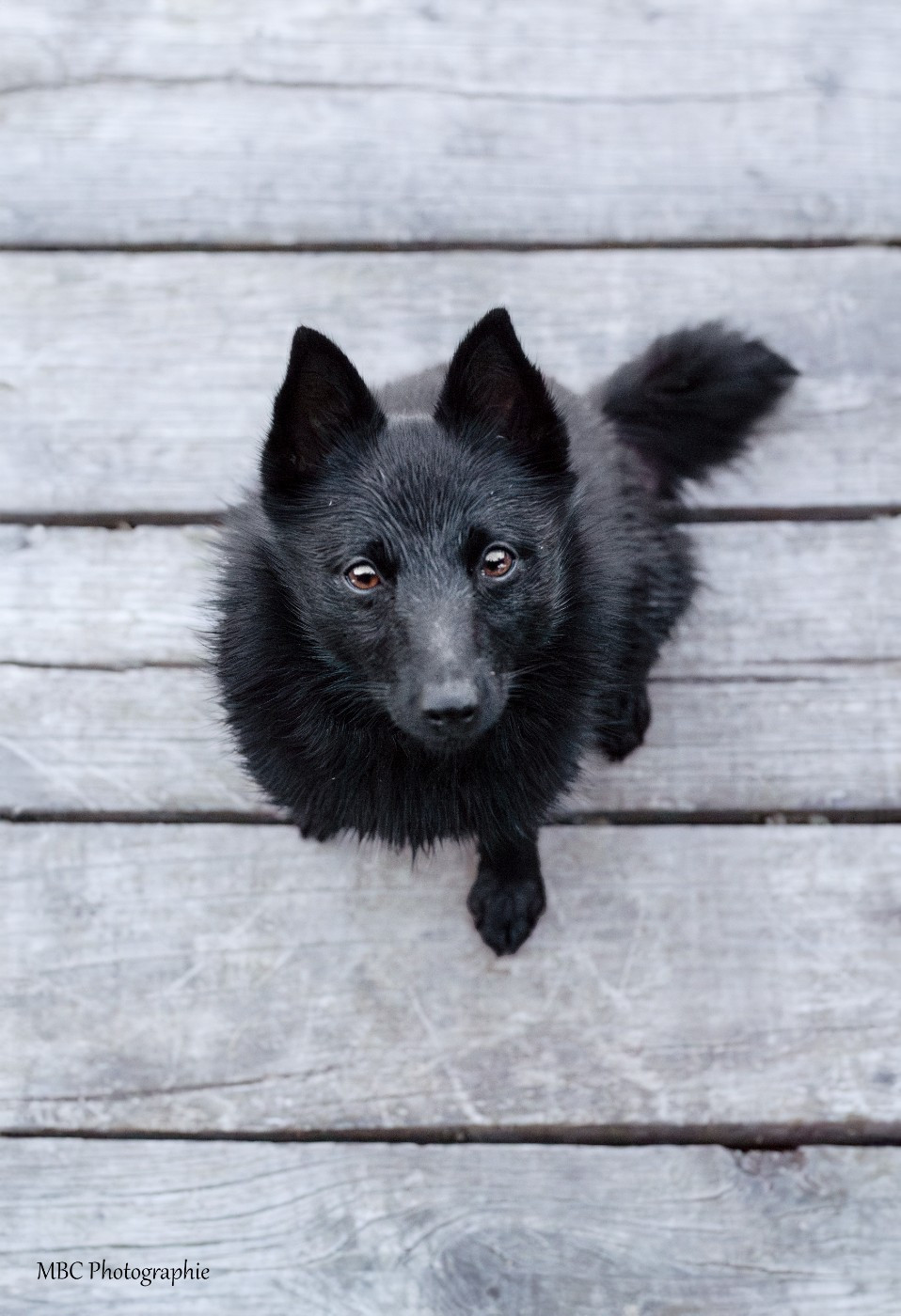 Ulla Une Légende Bretonne Len Lyslaulou